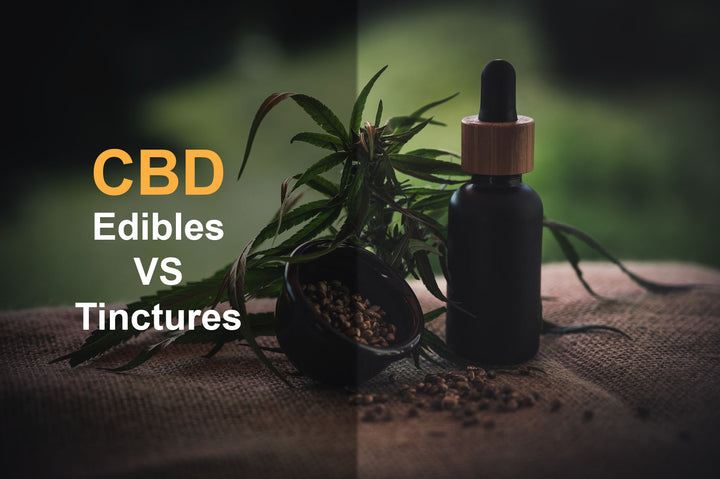 13 Reasons to Try CBD Edibles vs Tinctures