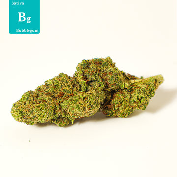 Bubblegum CBD Hemp Flower